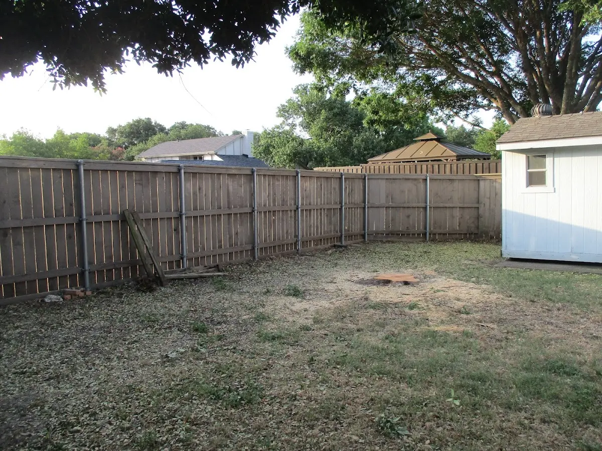Cleared yard after professional tree removal in Porcupine