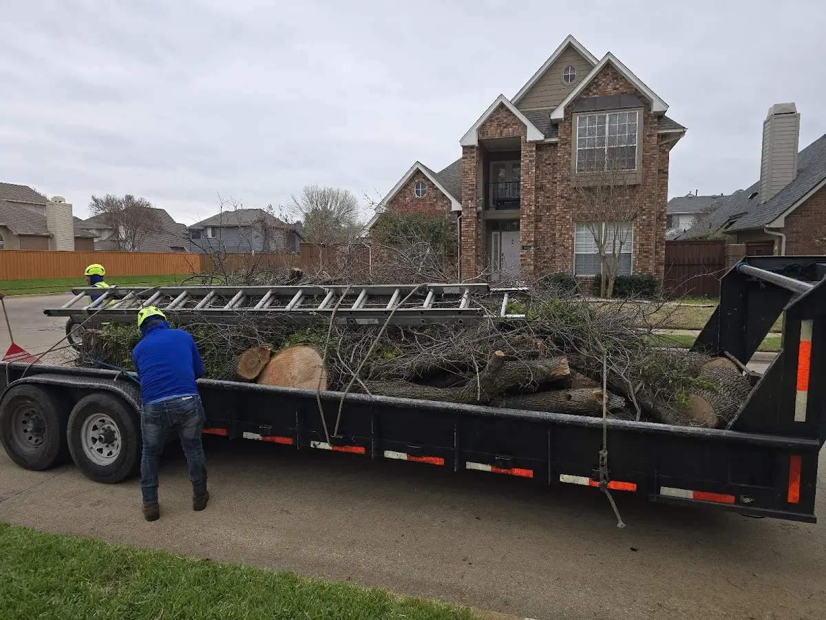 Expert Tree Pest Control with proper safety equipment in Porcupine